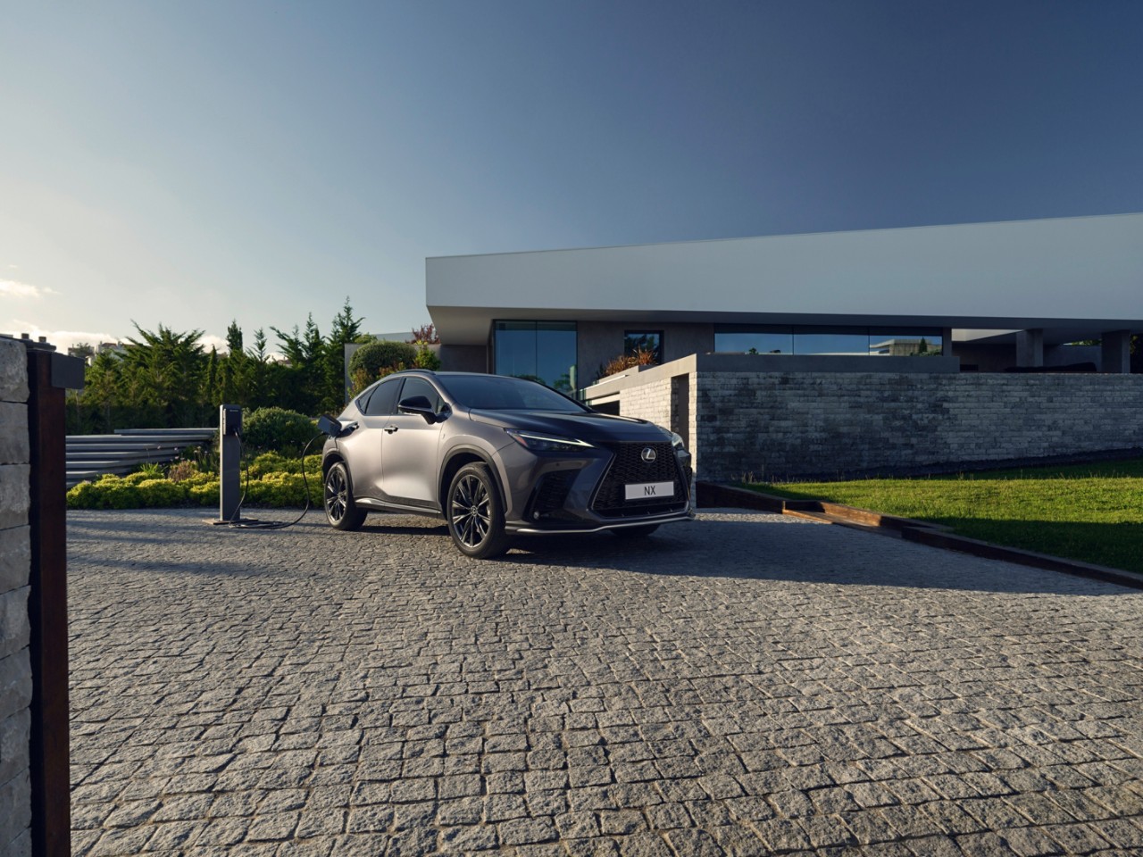 A Lexus NX driving through a woodland